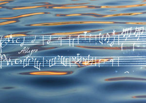 water-roman-400
